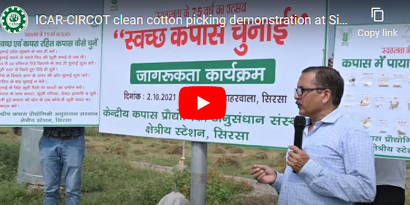 ICAR-CIRCOT clean cotton picking demonstration at Sirsa, Haryana