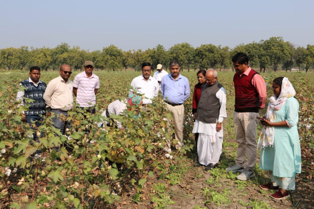 Image of World Soil Day