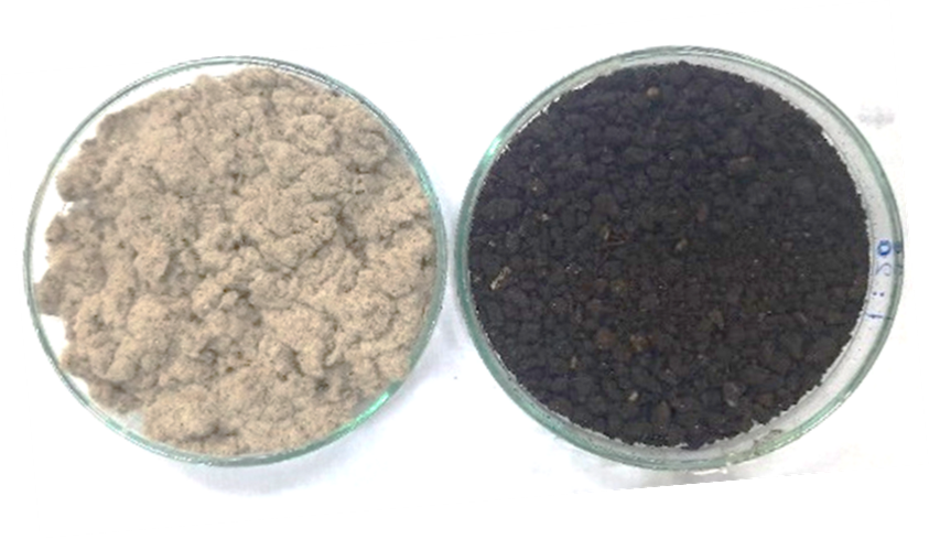Bio enriched compost from cotton micro dust