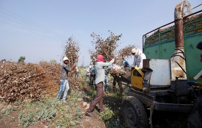 Cotton Stalk Supply Chain Model