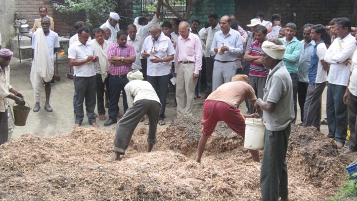 Compost from Cotton Stalk