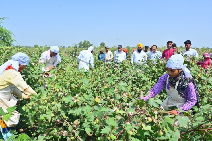 Demonstrations on Clean cotton Picking