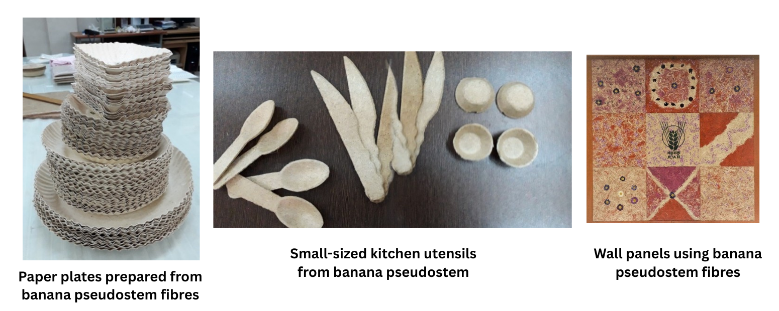 Eco-Friendly Dishware and Wall panels