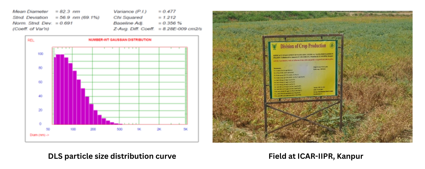 Nano-Zn Suspension Production Technology