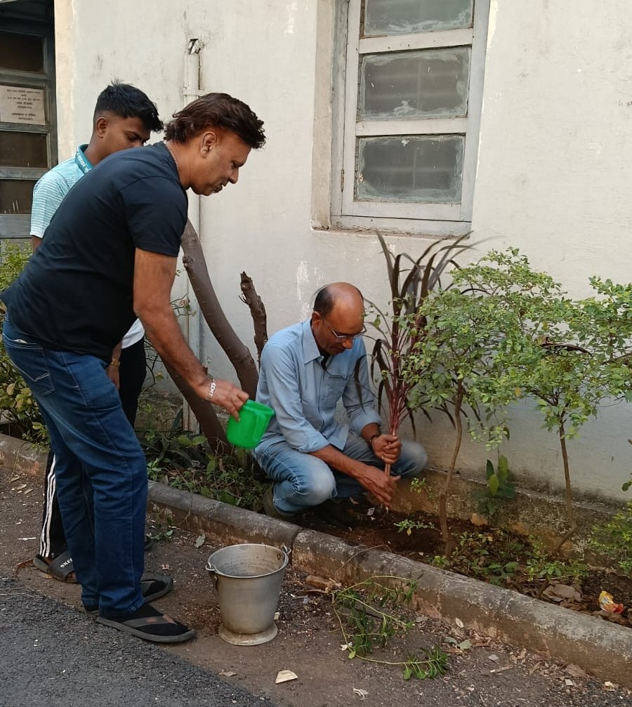Plantation drive is organized at Regional Station, Surat photo