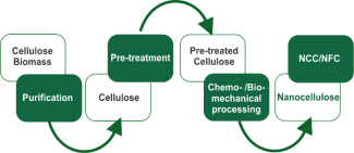 Chemo Mechanical Process for production of nanocellulose on Pilot Scale