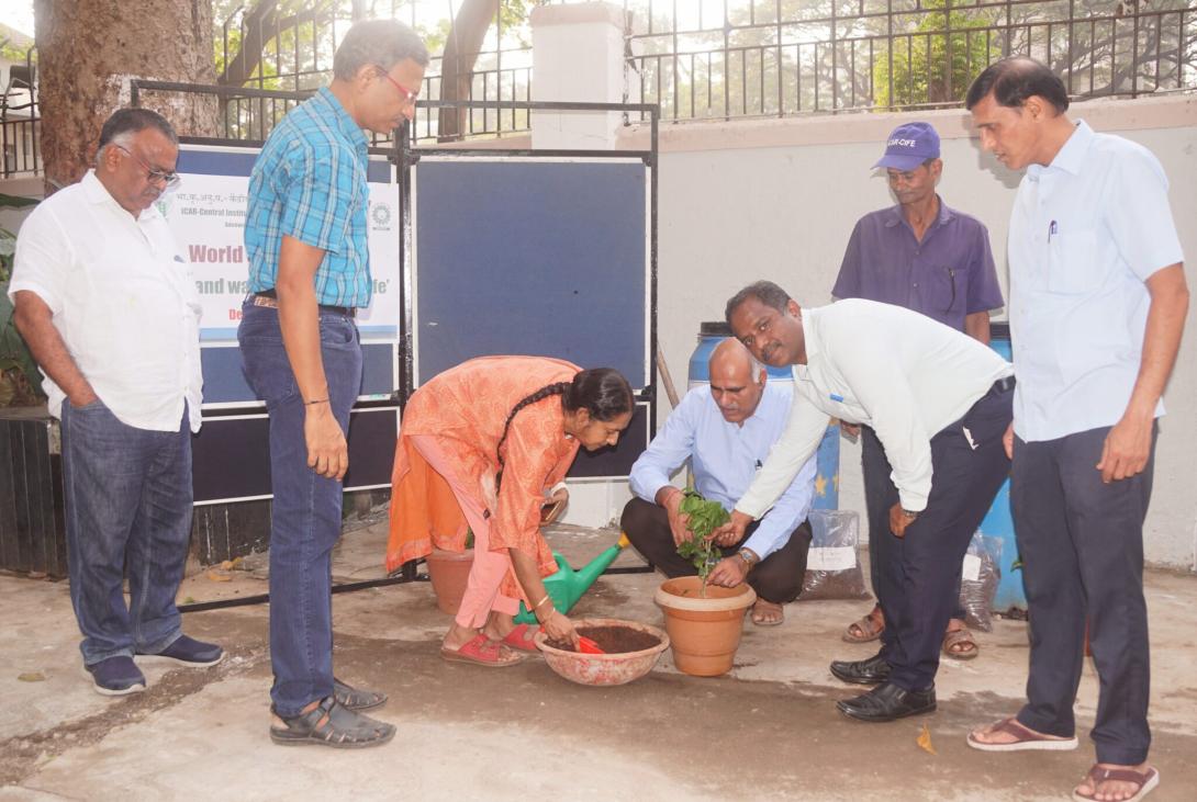 World Soil Day 2023 Celebration by ICAR-CIRCOT, Mumbai